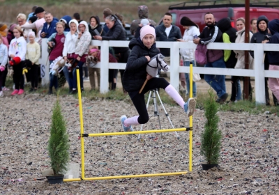 MP Hobby Horse. Dwa złote medale dla Aleksandry i Ravena  [WYNIKI, WIDEO]