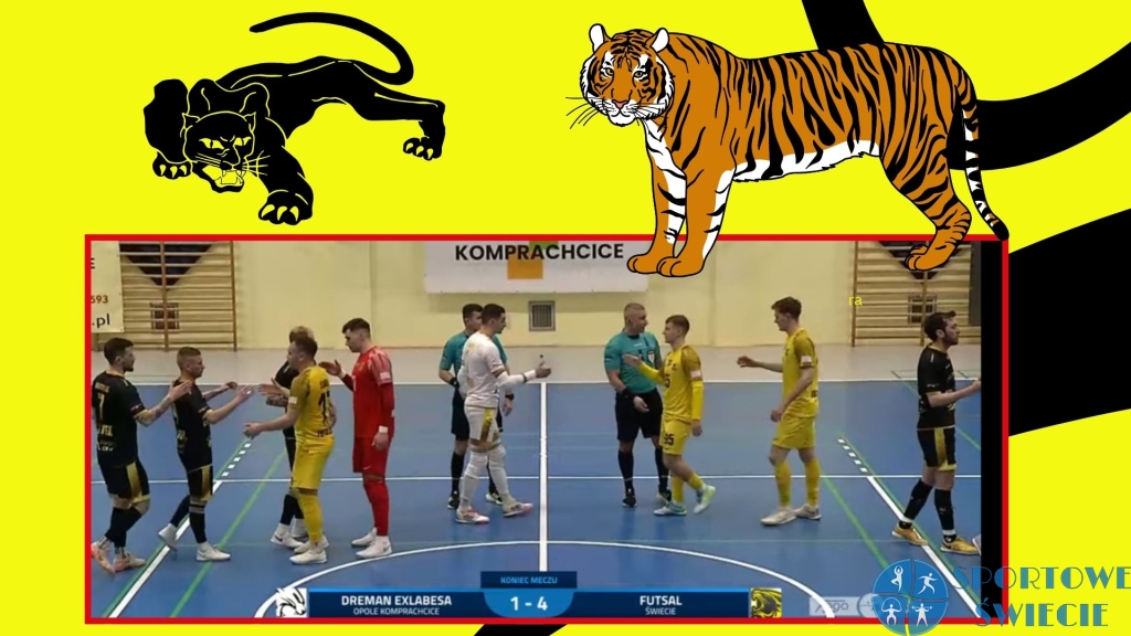 Pantery rewanżowały się Tygrysom w „Kocich derbach”