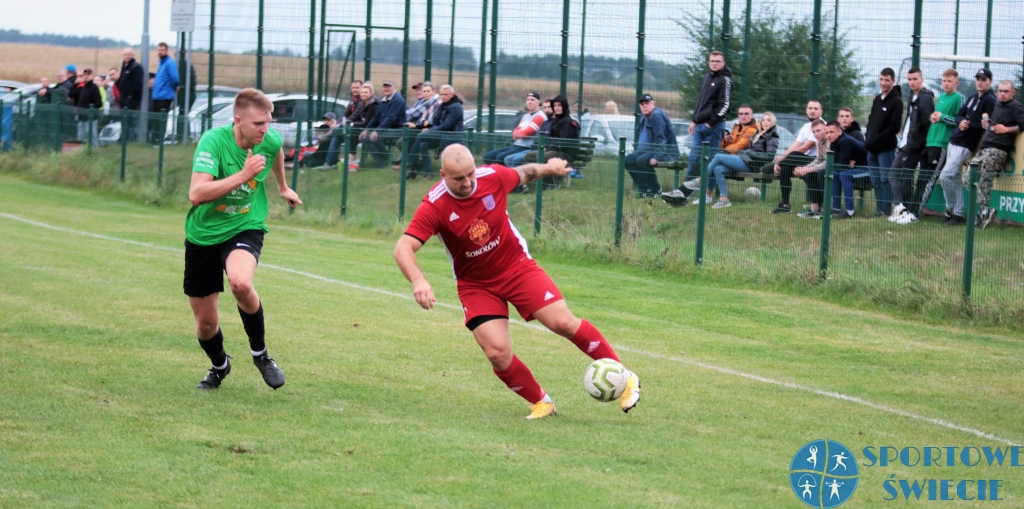 133 tysięcy złotych na modernizację obiektów sportowych w powiecie świeckim