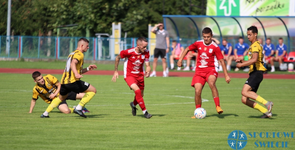Wda Świecie bez potknięć realizuje swój cel