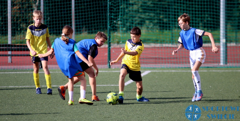 Młode Wilki Boniek liderują tabeli w lidze Wilka 