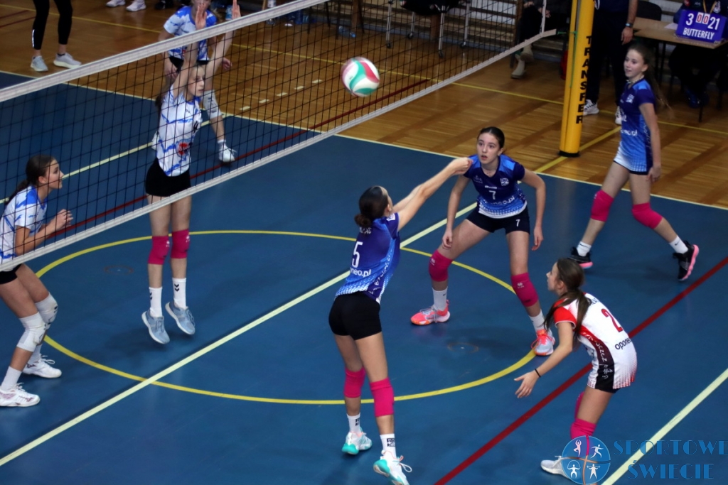 Młodziczki grały w Świeciu. Pałac Bydgoszcz najlepszy [ZDJĘCIA]