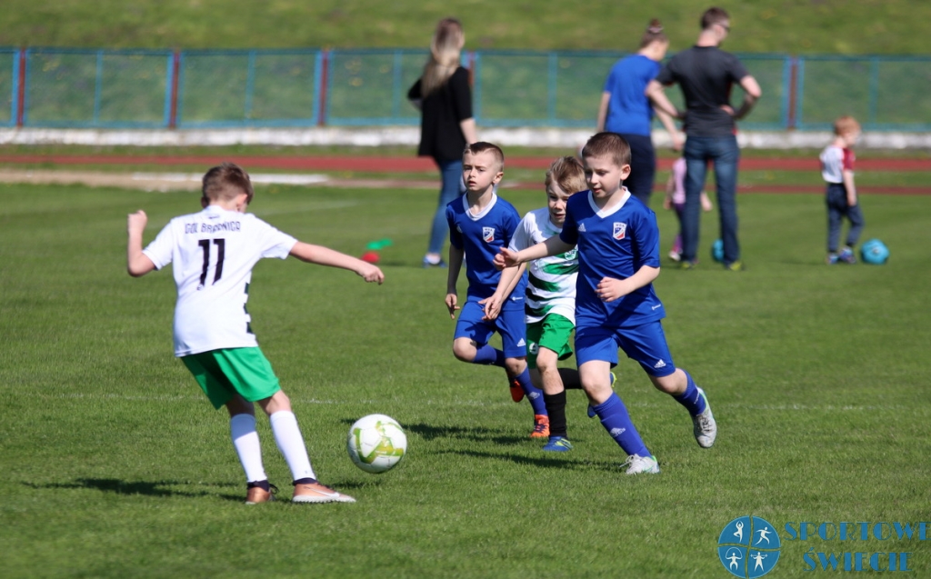Turniej żaka młodszego w Świeciu, tak grali mali piłkarze [ZDJĘCIA]