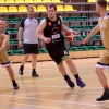 ABL. Bud-Pap nie obroni mistrzostwa. Elitaro.pl w finale
