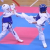 17 medali Szkoły Kyokushin Karate w Świeciu w mistrzostwach okręgu [ZDJĘCIA]