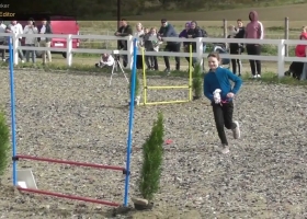 I Mistrzostwa Polski Hobby Horse